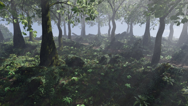Forest Scene