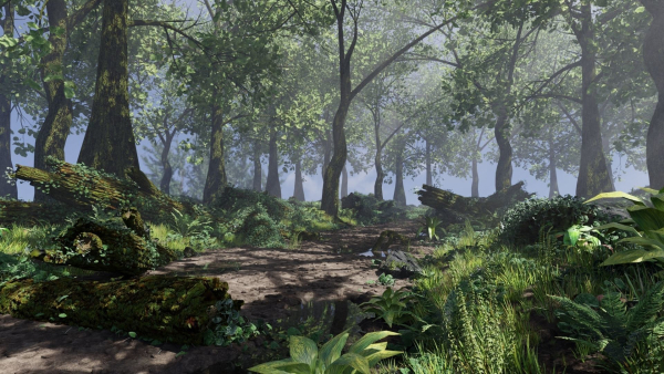 Forest Scene