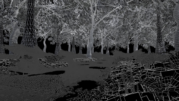 Forest Scene