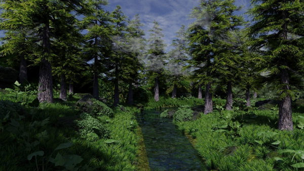 Forest Scene