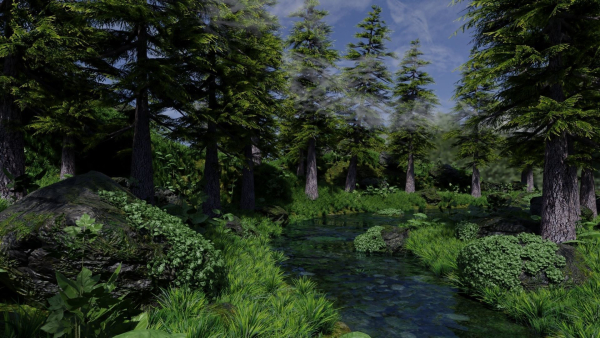 Forest Scene