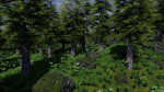 Forest Scene