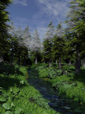 Forest Scene