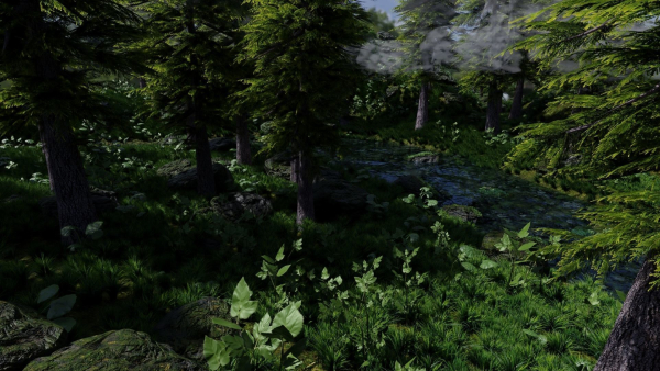 Forest Scene