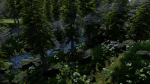 Forest Scene