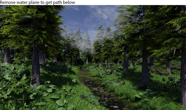 Forest Scene