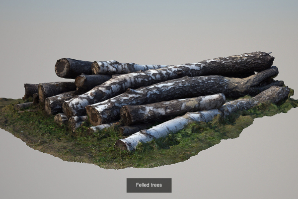 Forest stuff
