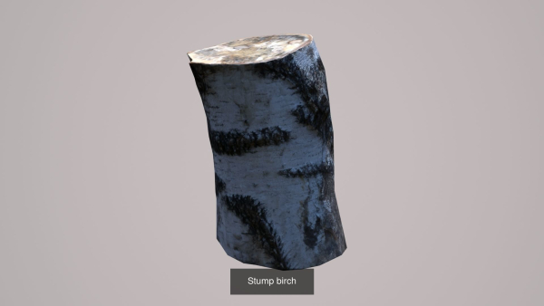 Forest stuff