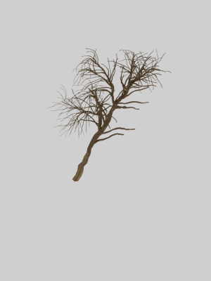 forest-tree-3d-model-4701326b49