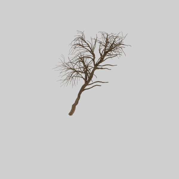 Forest tree