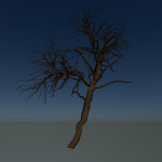 Forest tree