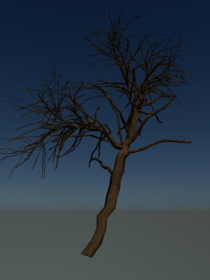Forest tree