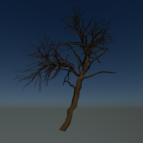 Forest tree