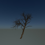 Forest tree