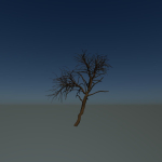 Forest tree