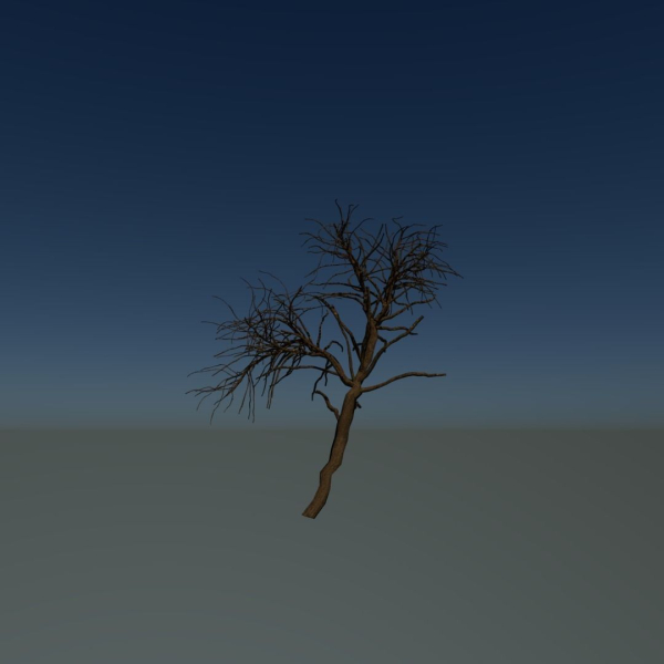 Forest tree