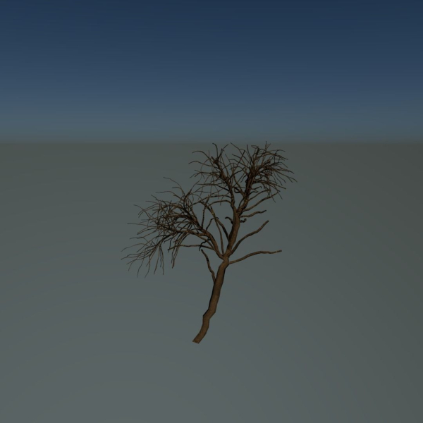 Forest tree