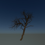 Forest tree