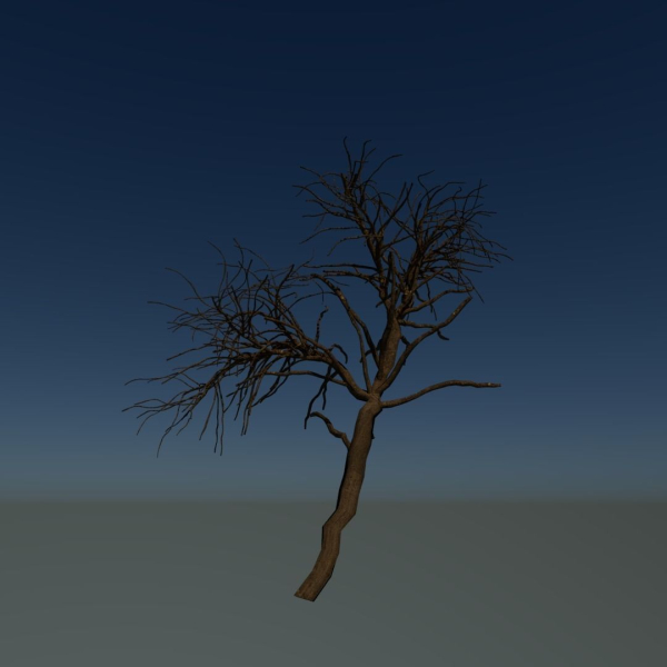 Forest tree