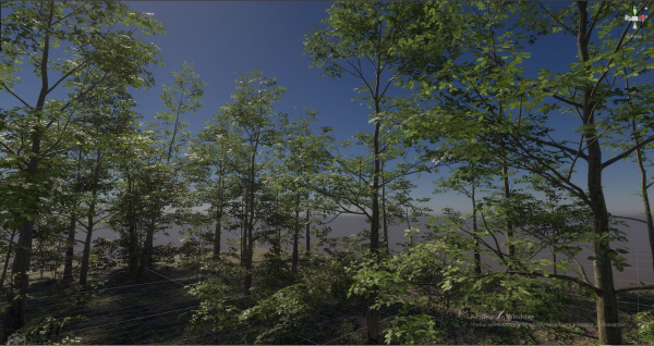 Forest Game Trees