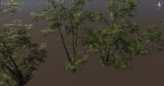 Forest Game Trees