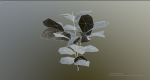 Forest Game Trees
