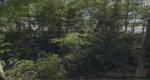 Forest Game Trees