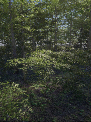 forest-trees-3d-model-af213b940f