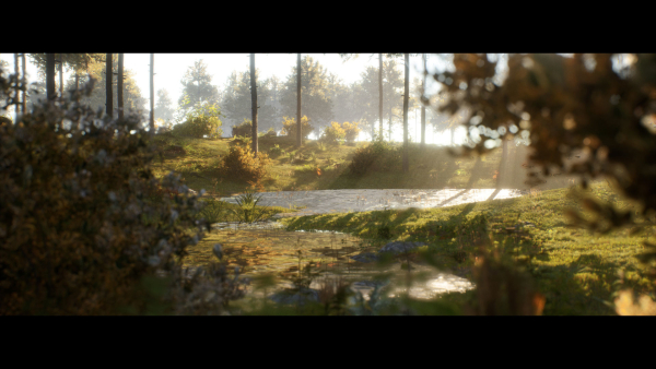 Forest Walk - Unreal Engine 4