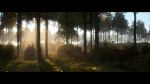 Forest Walk - Unreal Engine 4