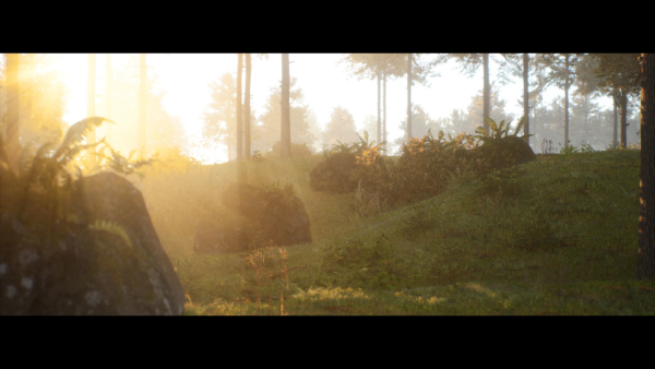 Forest Walk - Unreal Engine 4