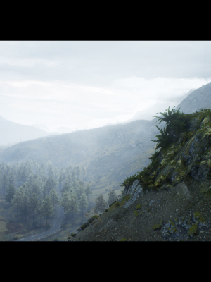 Forest Walk - Unreal Engine 4