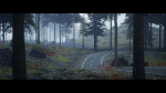 Forest Walk - Unreal Engine 4