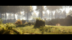 Forest Walk - Unreal Engine 4