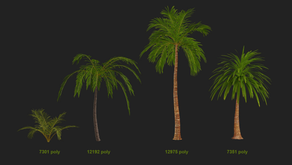 Four palmS trees subtropics with textures
