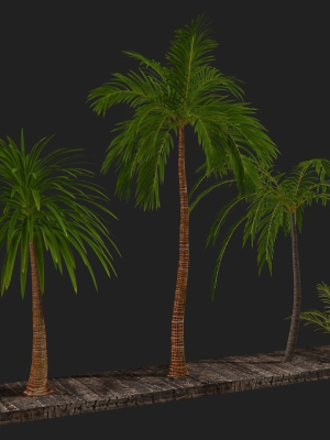 four-palms-trees-subtropics-with-textures-3d-model-2a3b7b6bd0