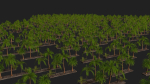 Four palmS trees subtropics with textures
