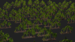 Four palmS trees subtropics with textures