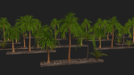 Four palmS trees subtropics with textures