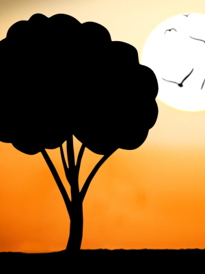 fruit-tree-silhouette-3d-model-4d012c314c
