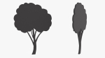 Fruit Tree Silhouette