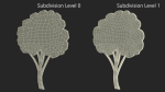 Fruit Tree Silhouette