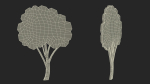 Fruit Tree Silhouette