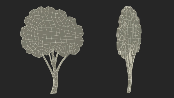 Fruit Tree Silhouette