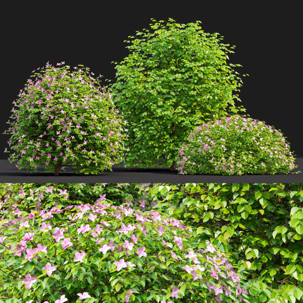 Fueng Fah Flower