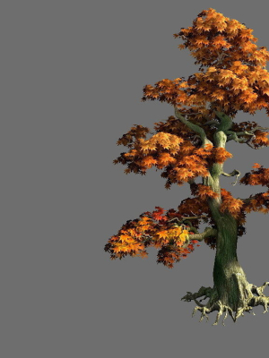 Game Model - Forest - Maple Tree 9
