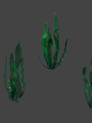 Game model - seabed - kelp