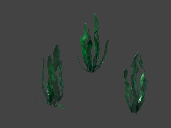 Game model - seabed - kelp