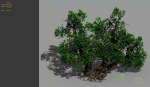 Game Models - Forest - Shrubs 11