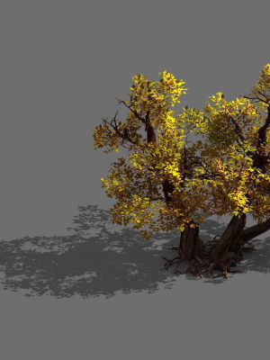 Game Models - Forest - Shrubs 11